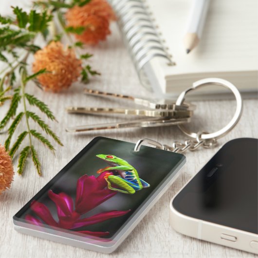 アカガエル キーホルダー (正面右)