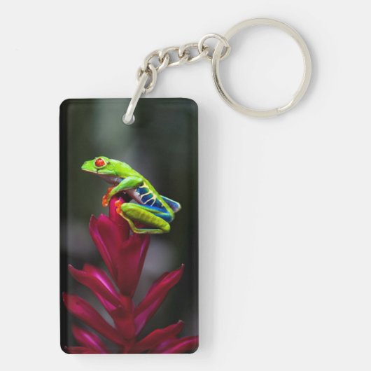 アカガエル キーホルダー (裏面)