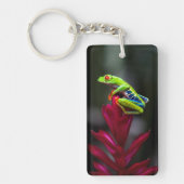 アカガエル キーホルダー (正面)