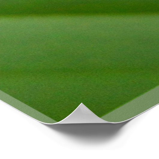 アカガエル ポスター (角)