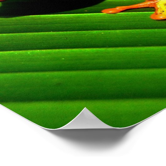 アカガエル ポスター (角)