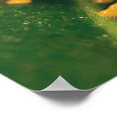 アカガエル ポスター (角)