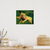 アカガエル ポスター (キッチン)