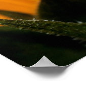 アカガエル ポスター (角)