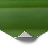 アカガエル ポスター (角)