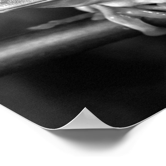 アカガエル ポスター (角)