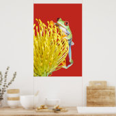 アカガエル ポスター (キッチン)