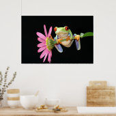 アカガエル ポスター (キッチン)