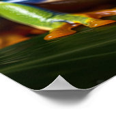 アカガエル ポスター (角)