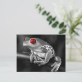 アカガエル ポストカード (スタンド正面)