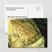 アカガエル ポストカード (正面/裏面)