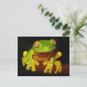 アカガエル ポストカード (スタンド正面)