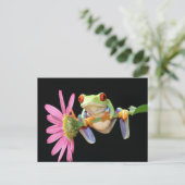 アカガエル ポストカード (スタンド正面)