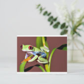 アカガエル ポストカード (スタンド正面)