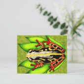 アカガエル ポストカード (スタンド正面)