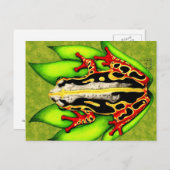 アカガエル ポストカード (正面/裏面)