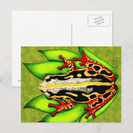 アカガエル ポストカード (正面/裏面)