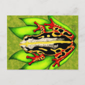 アカガエル ポストカード (正面)