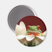 アカガエル マグネット (正面/裏面)