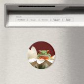 アカガエル マグネット (インサイチュ (食洗機))