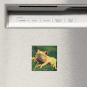 アカガエル マグネット (インサイチュ (食洗機))