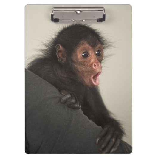アカガオクモザル (Ateles paniscus) クリップボード (正面)