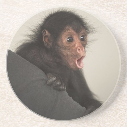 アカガオクモザル (Ateles paniscus) コースター (正面)