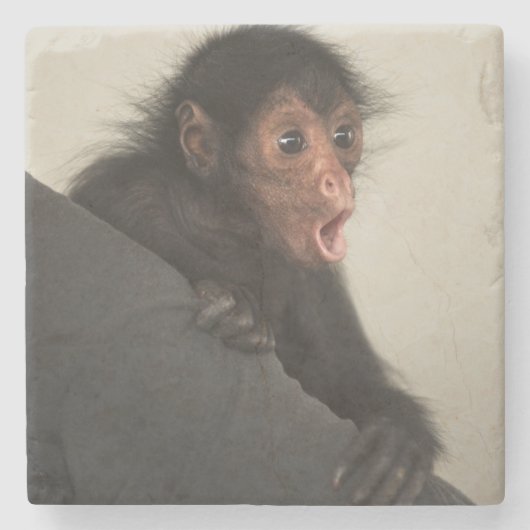 アカガオクモザル (Ateles paniscus) ストーンコースター (正面)