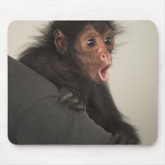 アカガオクモザル (Ateles paniscus) マウスパッド (正面)