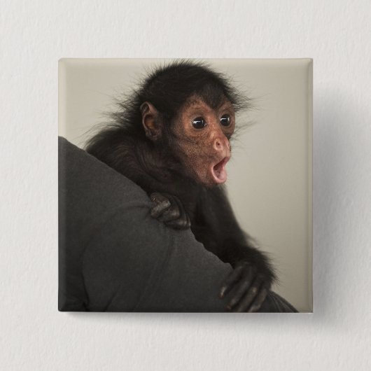 アカガオクモザル (Ateles paniscus) 缶バッジ (正面)