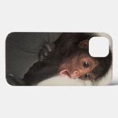 アカガオクモザル (Ateles paniscus) Case-Mate iPhoneケース (裏面 (横))