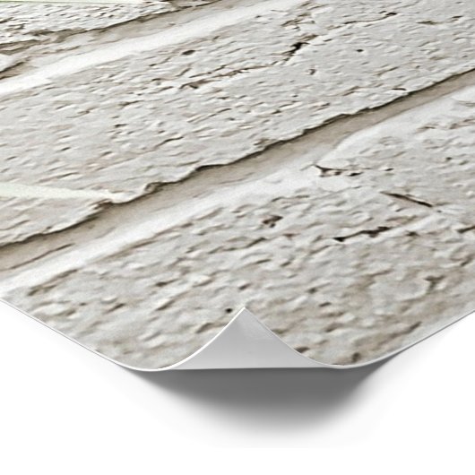 アカガサボテン ポスター (角)