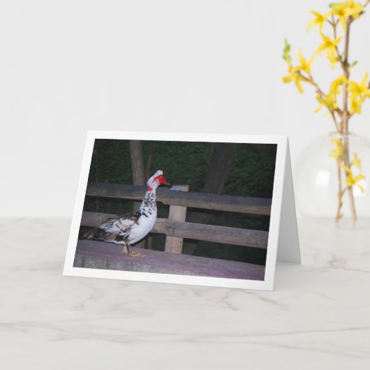 アカガシラカルガモの肖像 カード (黄色い花)