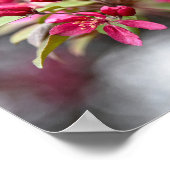 アカガニリンゴ花ポスター ポスター (角)