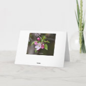 アカガニリンゴ花 カード (裏面)