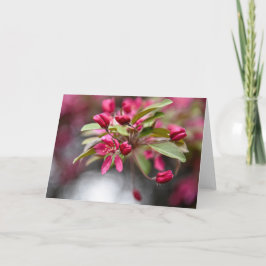 アカガニリンゴ花 カード