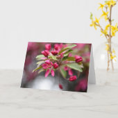 アカガニリンゴ花 カード (黄色い花)