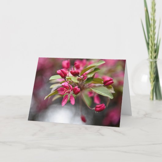 アカガニリンゴ花 カード (正面)