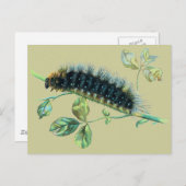 アカガネムシ ポストカード (正面/裏面)