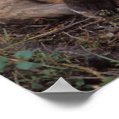 アカキツネのゲレンデ、紅葉 ポスター (角)