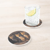 アカキツネ、ハゲワシ、キット コースター (側面)