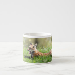 アカギツネのキット エスプレッソカップ