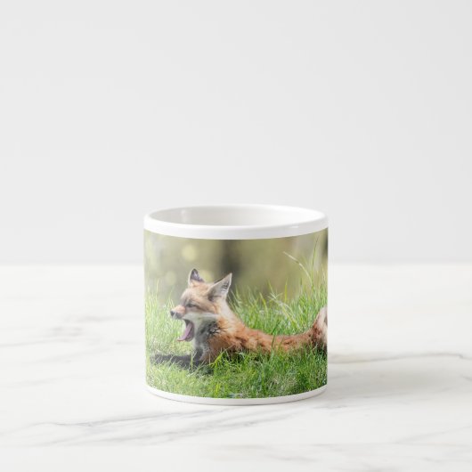 アカギツネのキット エスプレッソカップ (正面)