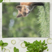 アカギツネのキット キッチンタオル (折り畳み)