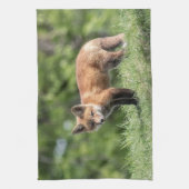 アカギツネのキット キッチンタオル (縦)