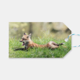 アカギツネのキット ギフトタグ