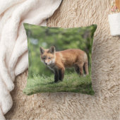 アカギツネのキット クッション (ブランケット)