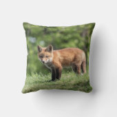 アカギツネのキット クッション (裏面)