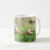 アカギツネのキット コーヒーマグカップ (正面右)