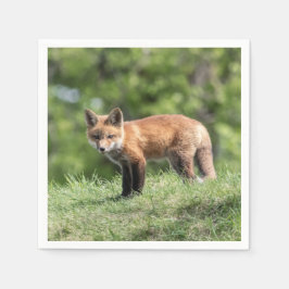 アカギツネのキット スタンダードカクテルナプキン